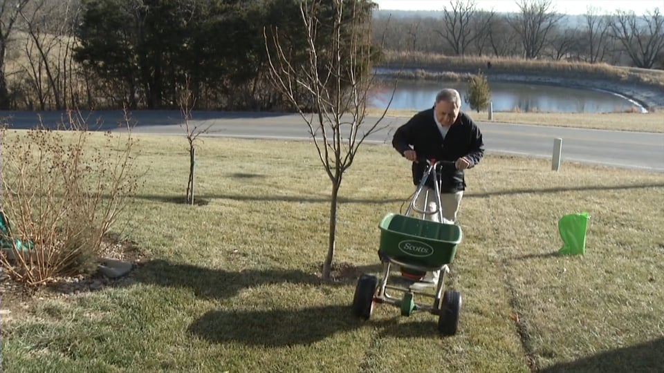 Tips from Toby Winter Tree Fertilize for Extra Growth