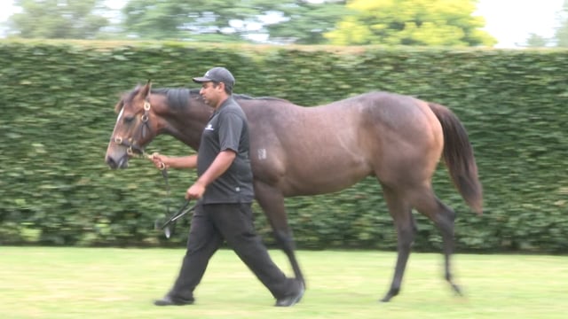 Lot 872