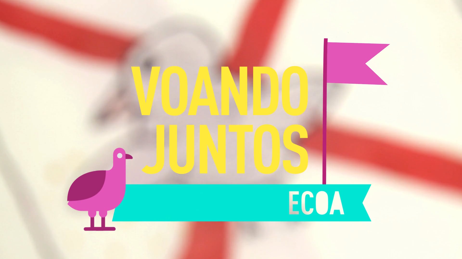 ECOA: Voando Juntos (Santo André - SP)