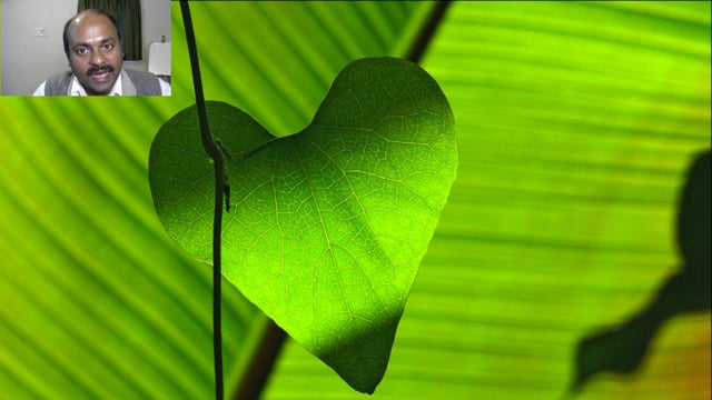 Venation in Leaves