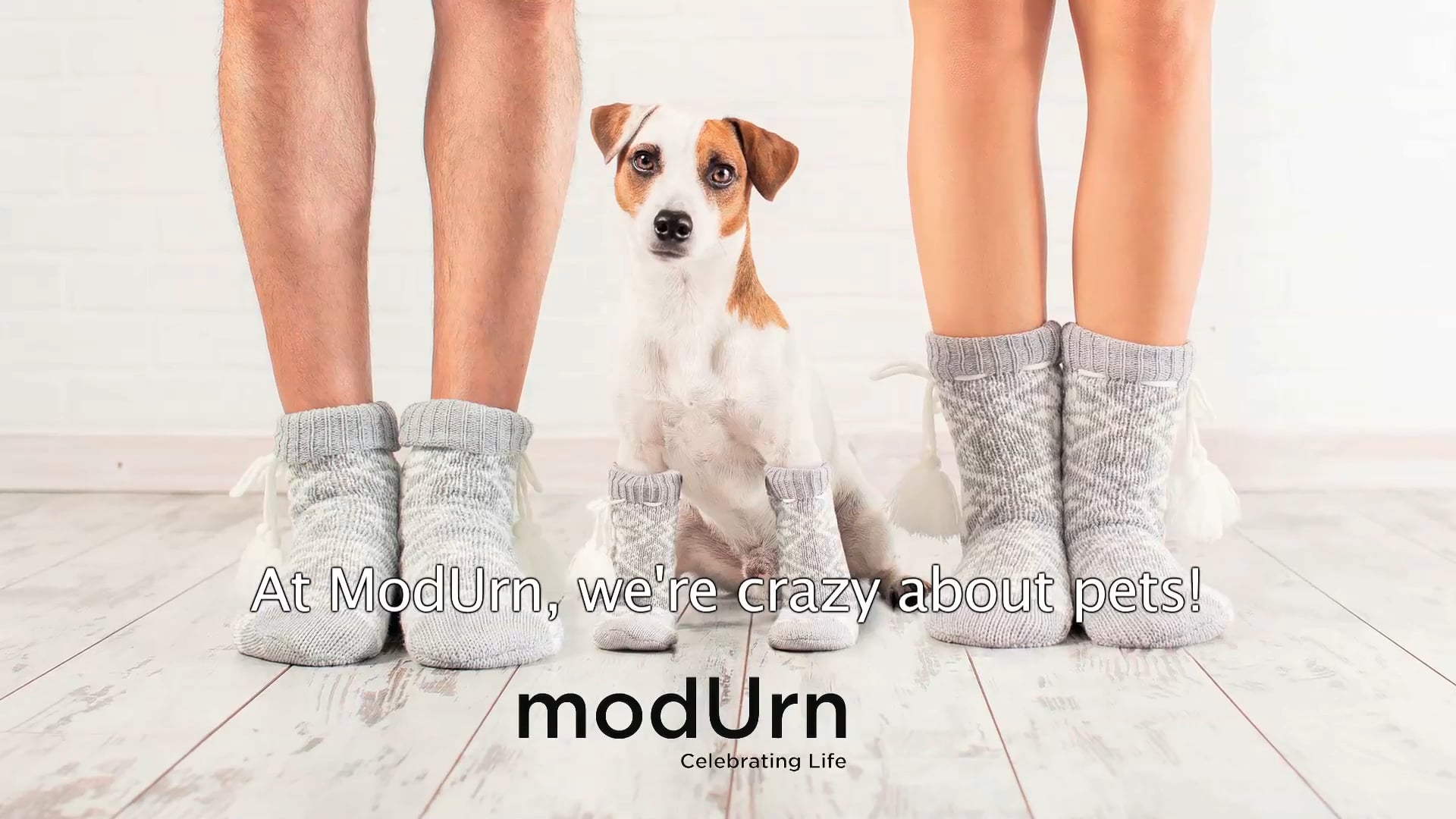 ModUrn Pet - Smart Pet Urns and Mementos