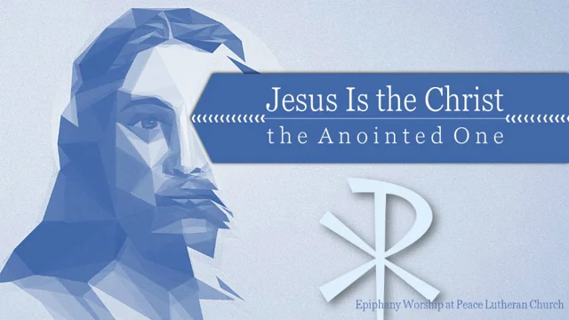 Modafinil price costco