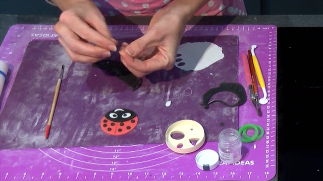 Module 06: Ladybird - Video Thumbnail