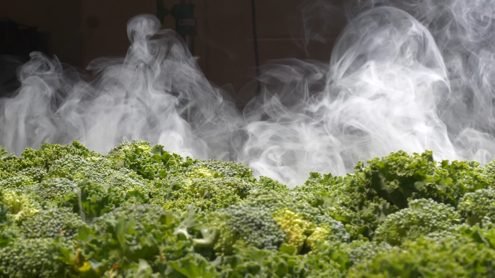 Foodscapes : Behind the Scenes with Director David Ma, and DP John Shafto