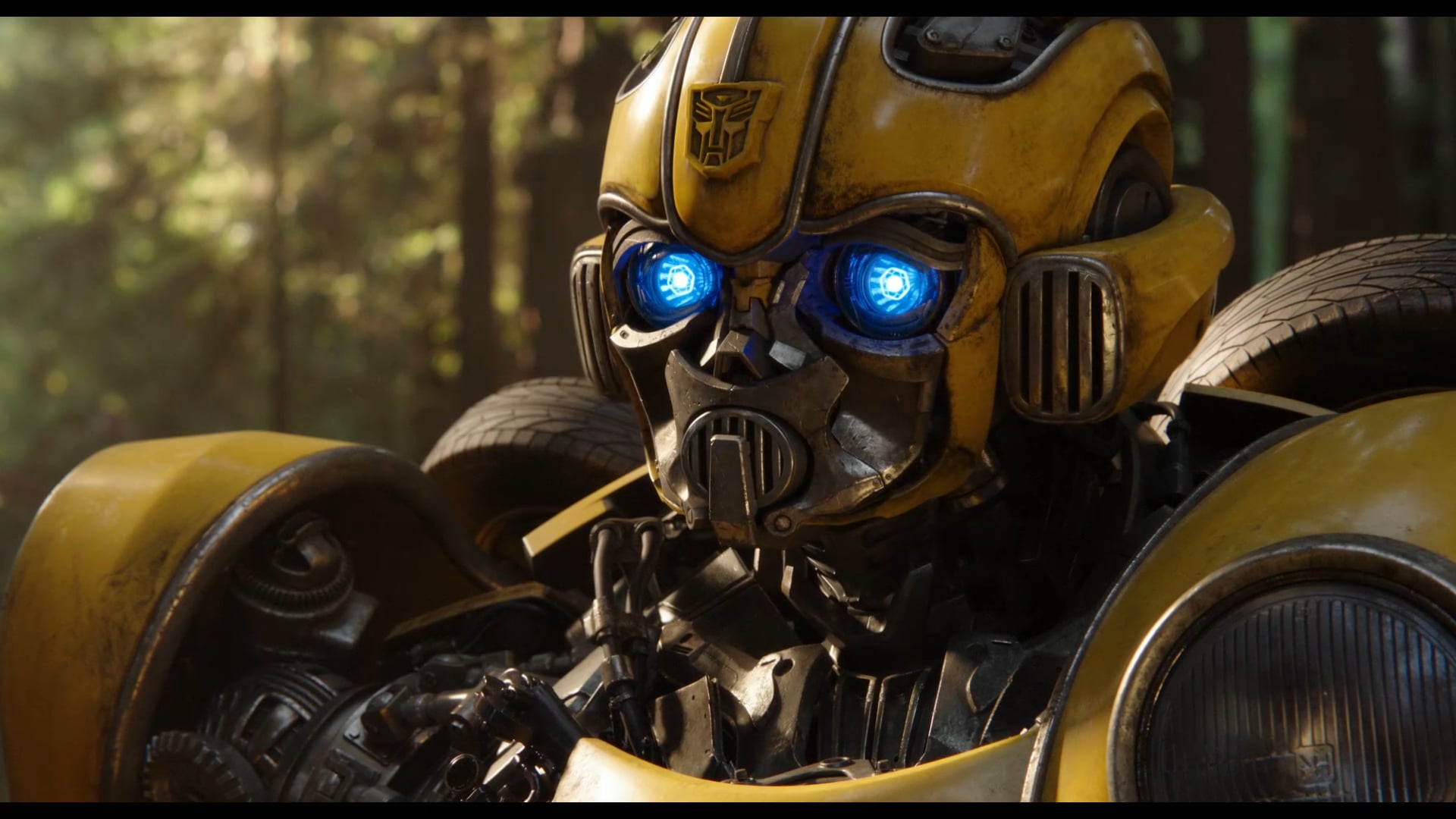 Bumblebee