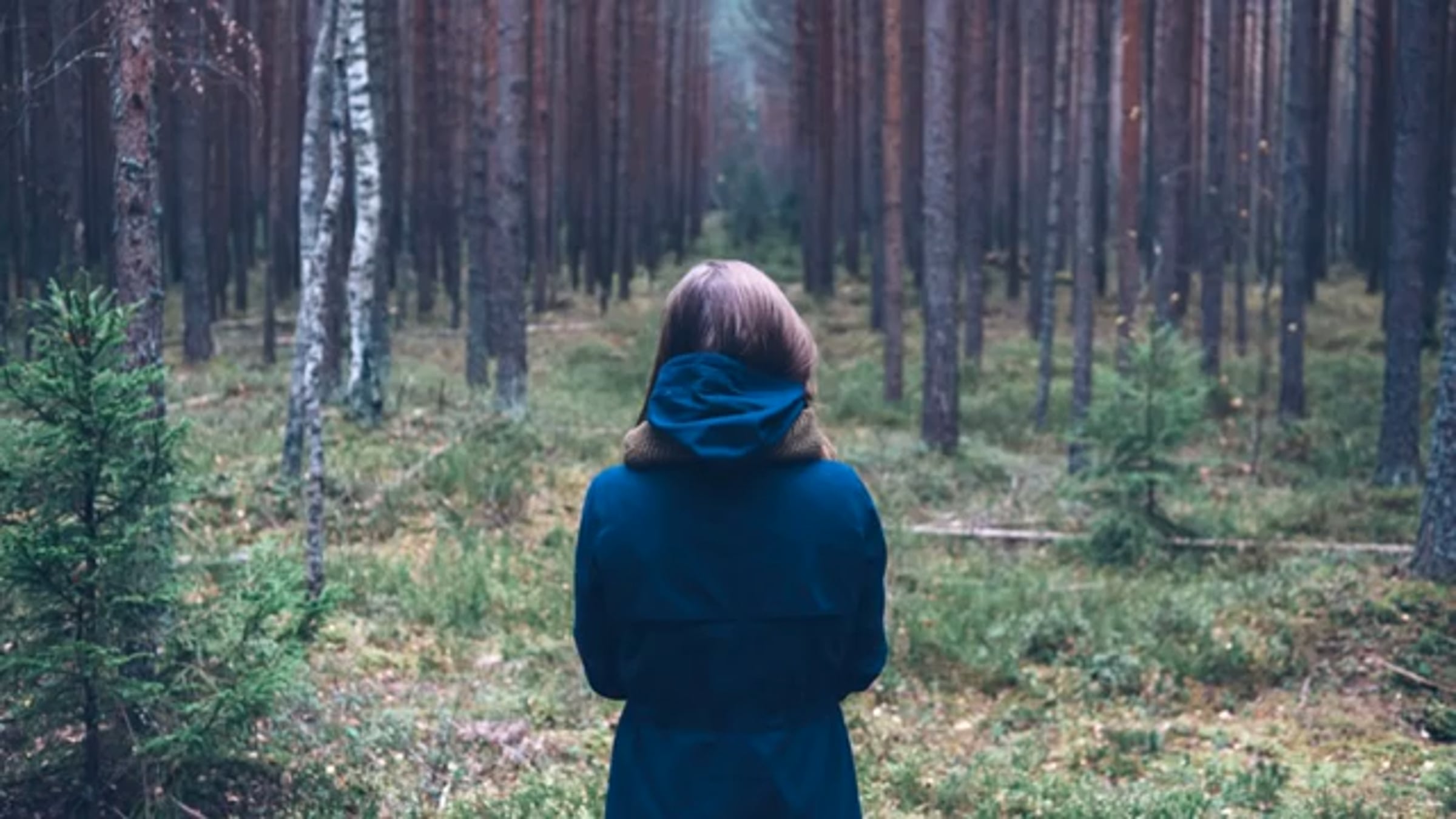 Потерялся в городе. Паника в лесу. Человек в туманном лесу. Встретиться заблудиться. Мужчина в лесу.