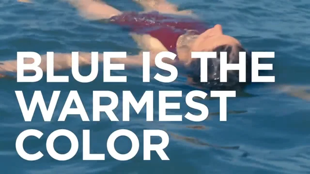 Blue Is the Warmest (and Costliest) Color — The Conservation Center