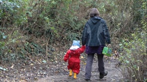 Daisie – ducks and geese thumbnail