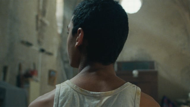 A thumbnail for the film 'Sons of my Country' by  katelin arizmendi