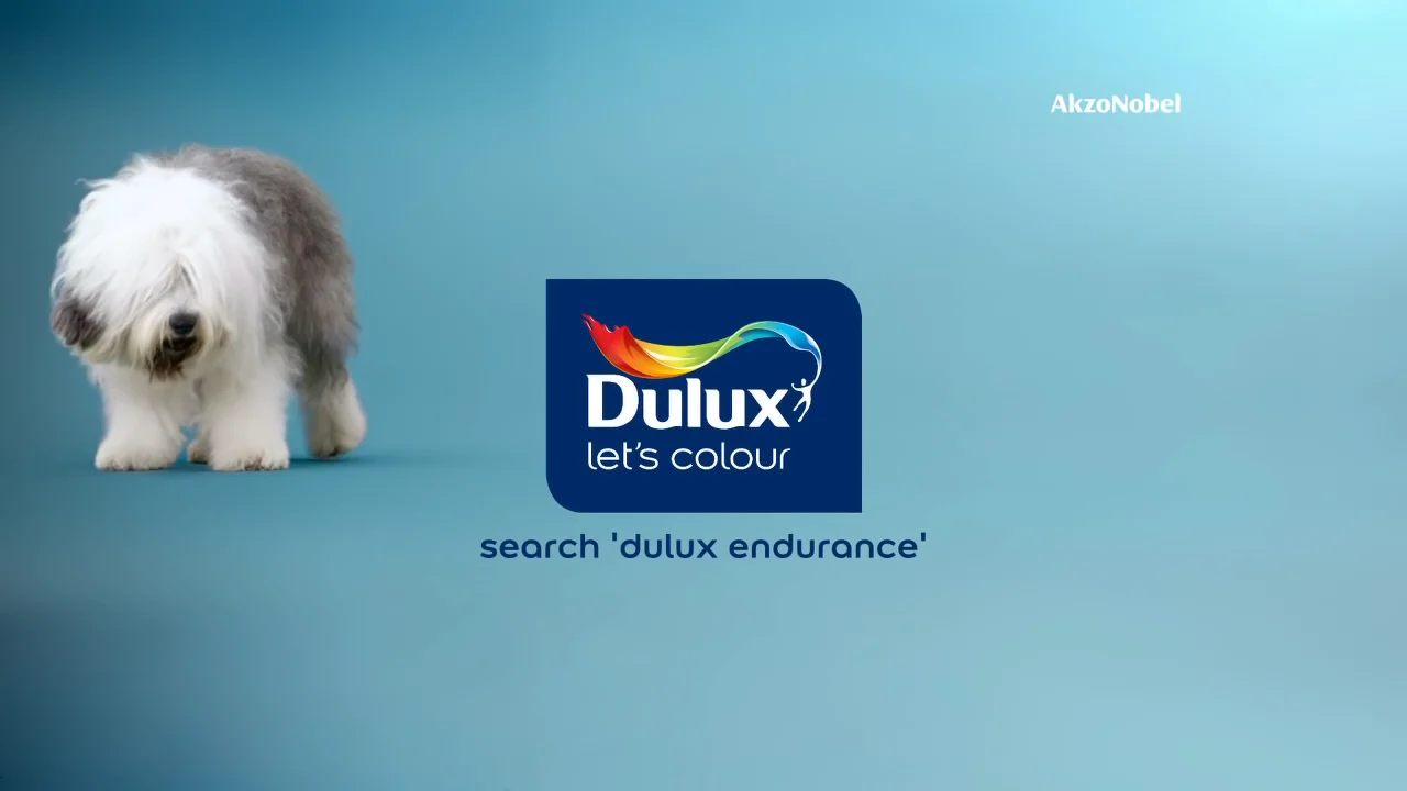 Dulux paint 2024 advert dog