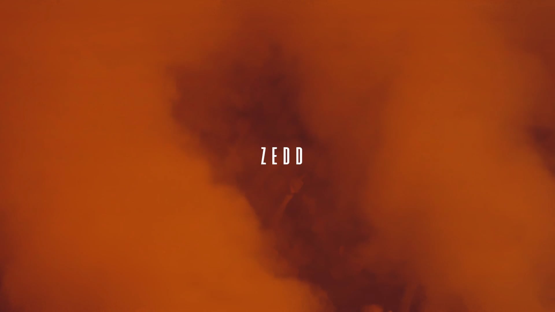 Zedd | Brooklyn, NY