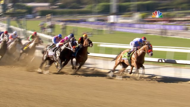 Goldencents | 2013 Breeders' Cup Dirt Mile
