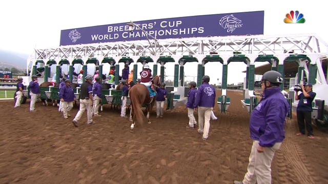 Goldencents | 2014 Breeders' Cup Dirt Mile 