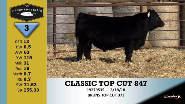 Lot #3 - CLASSIC TOP CUT 847+