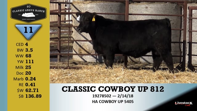 Lot #11 - CLASSIC COWBOY UP 812