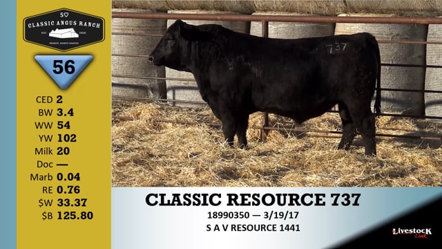 Lot #56 - CLASSIC RESOURCE 737