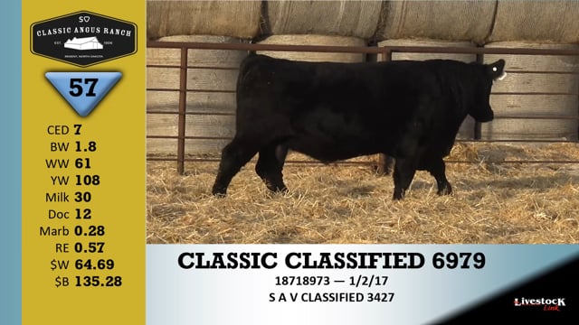 Lot #57 - CLASSIC CLASSIFIED 6979+
