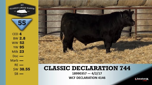 Lot #55 - CLASSIC DECLARATION 744