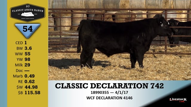 Lot #54 - CLASSIC DECLARATION 742