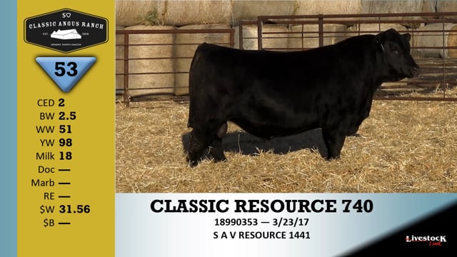 Lot #53 - CLASSIC RESOURCE 740