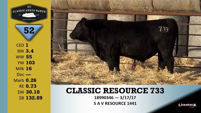 Lot #52 - CLASSIC RESOURCE 733