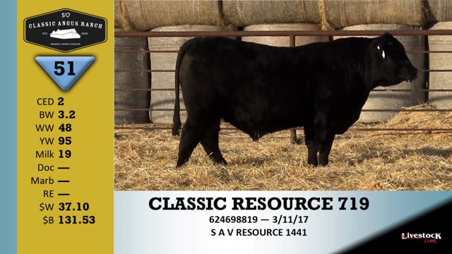 Lot #51 - CLASSIC RESOURCE 719