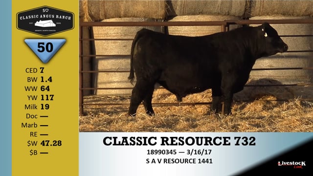 Lot #50 - CLASSIC RESOURCE 732