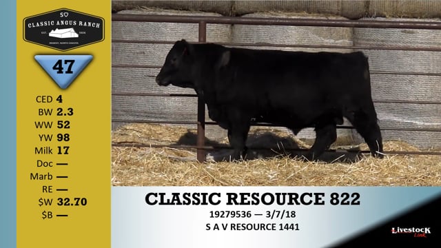 Lot #47 - CLASSIC RESOURCE 822