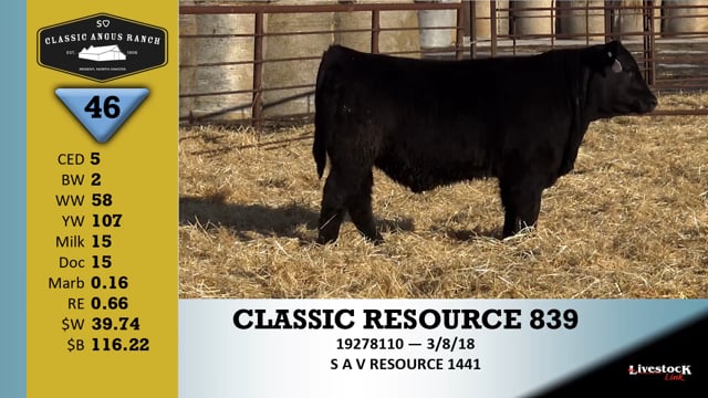 Lot #46 - CLASSIC RESOURCE 839
