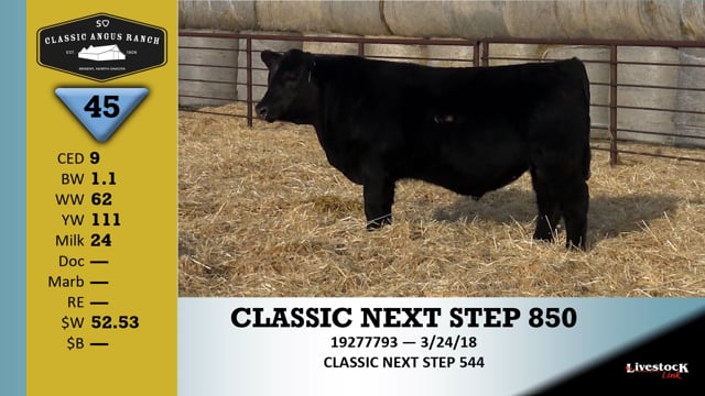 Lot #45 - CLASSIC NEXT STEP 850