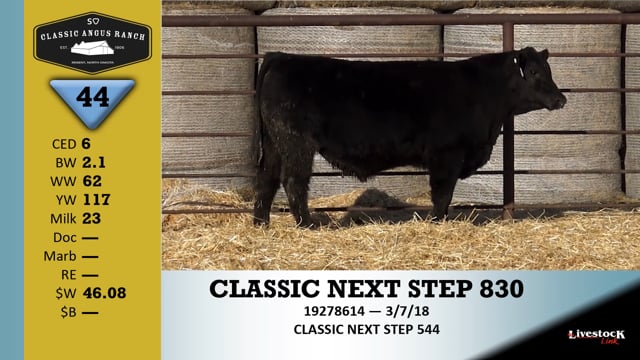 Lot #44 - CLASSIC NEXT STEP 830
