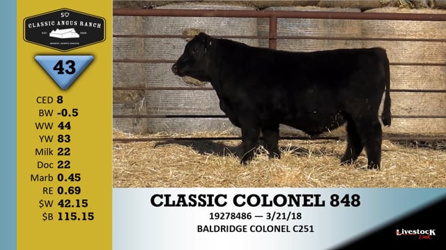 Lot #43 - CLASSIC COLONEL 848