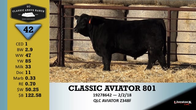 Lot #42 - CLASSIC AVIATOR 801