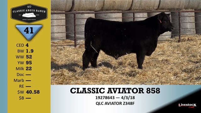 Lot #41 - CLASSIC AVIATOR 858