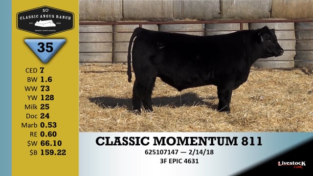 Lot #35 - CLASSIC MOMENTUM 811