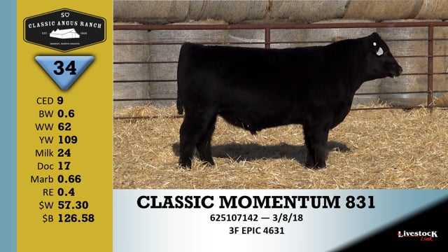 Lot #34 - CLASSIC MOMENTUM 831