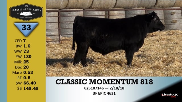 Lot #33 - CLASSIC MOMENTUM 818