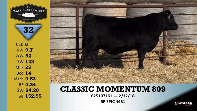 Lot #32 - CLASSIC MOMENTUM 809
