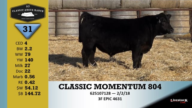 Lot #31 - CLASSIC MOMENTUM 804