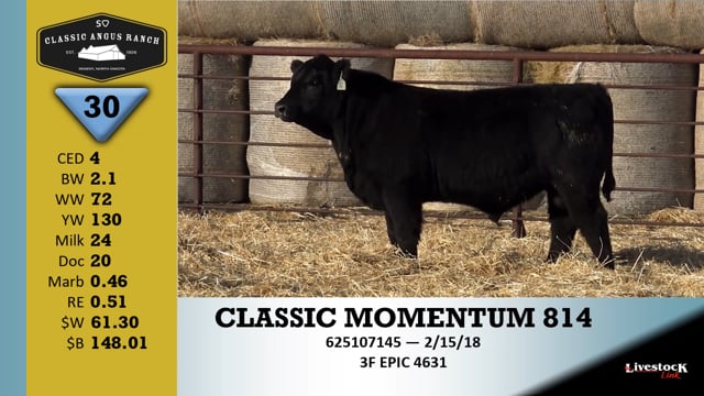 Lot #30 - CLASSIC MOMENTUM 814