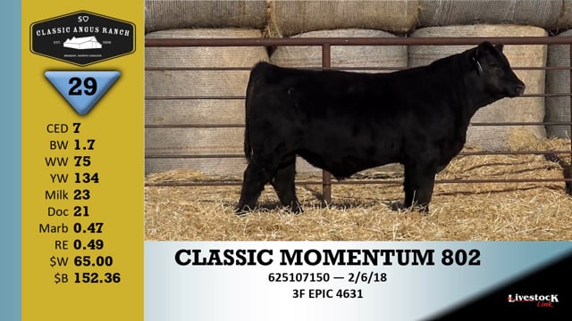 Lot #29 - CLASSIC MOMENTUM 802