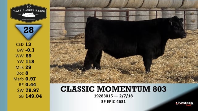 Lot #28 - CLASSIC MOMENTUM 803