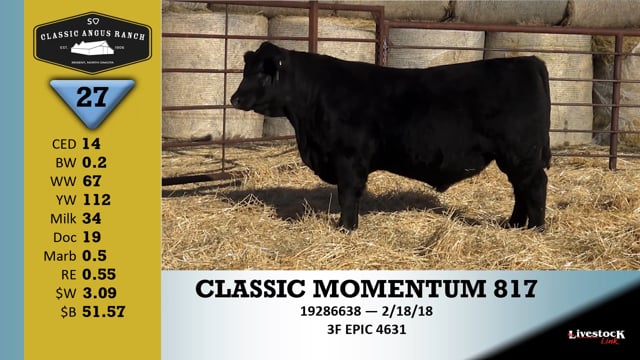 Lot #27 - CLASSIC MOMENTUM 817+