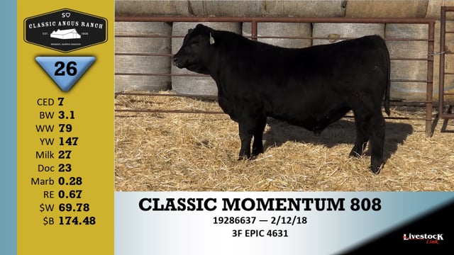 Lot #26 - CLASSIC MOMENTUM 806+
