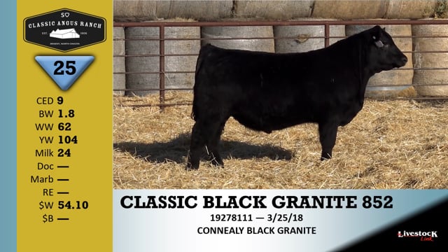 Lot #25 - CLASSIC BLACK GRANITE 852