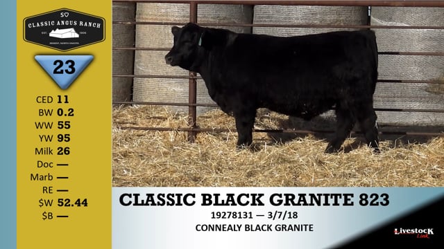 Lot #23 - CLASSIC BLACK GRANITE 823