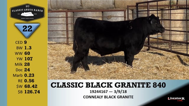 Lot #22 - CLASSIC BLACK GRANITE 840