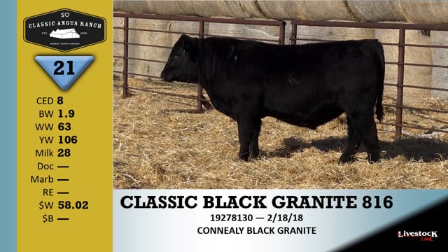 Lot #21 - CLASSIC BLACK GRANITE 816