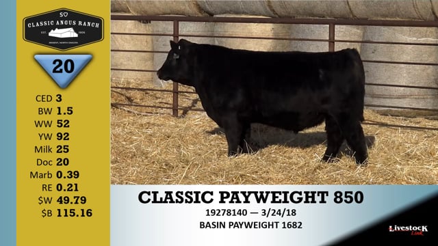 Lot #20 - CLASSIC PAYWEIGHT 850