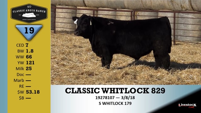 Lot #19 - CLASSIC WHITLOCK 829
